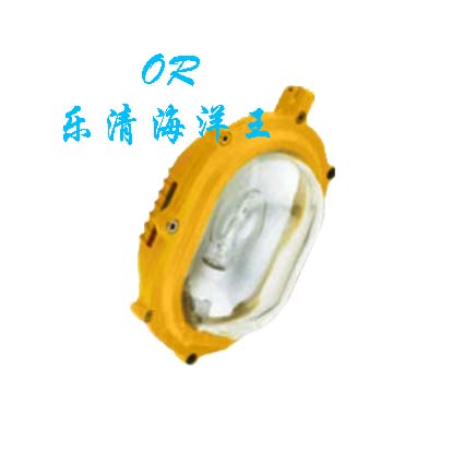 供应BFE8120 内场防爆应急灯 BFE8120